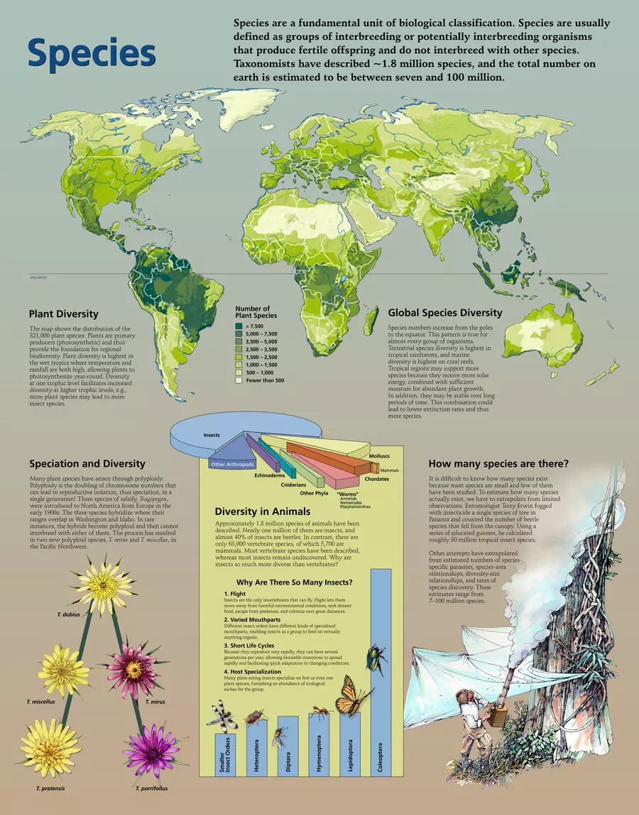 Species Chart