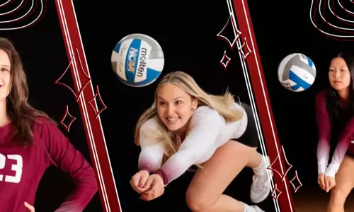 volleyball